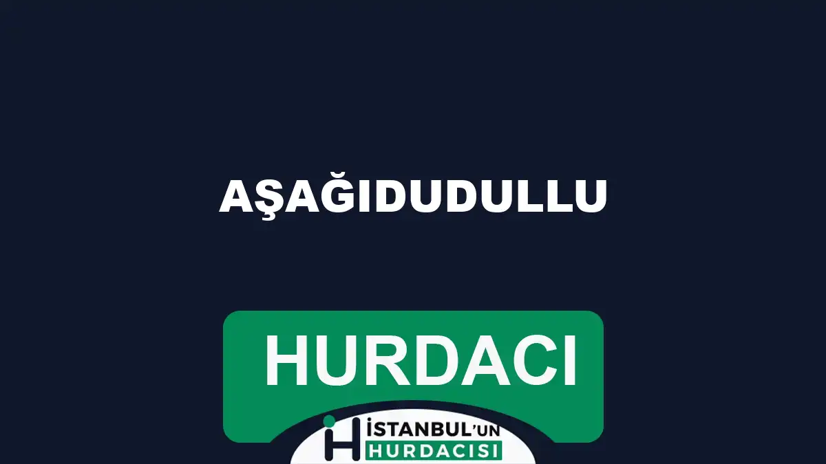 izmit hurdacı
