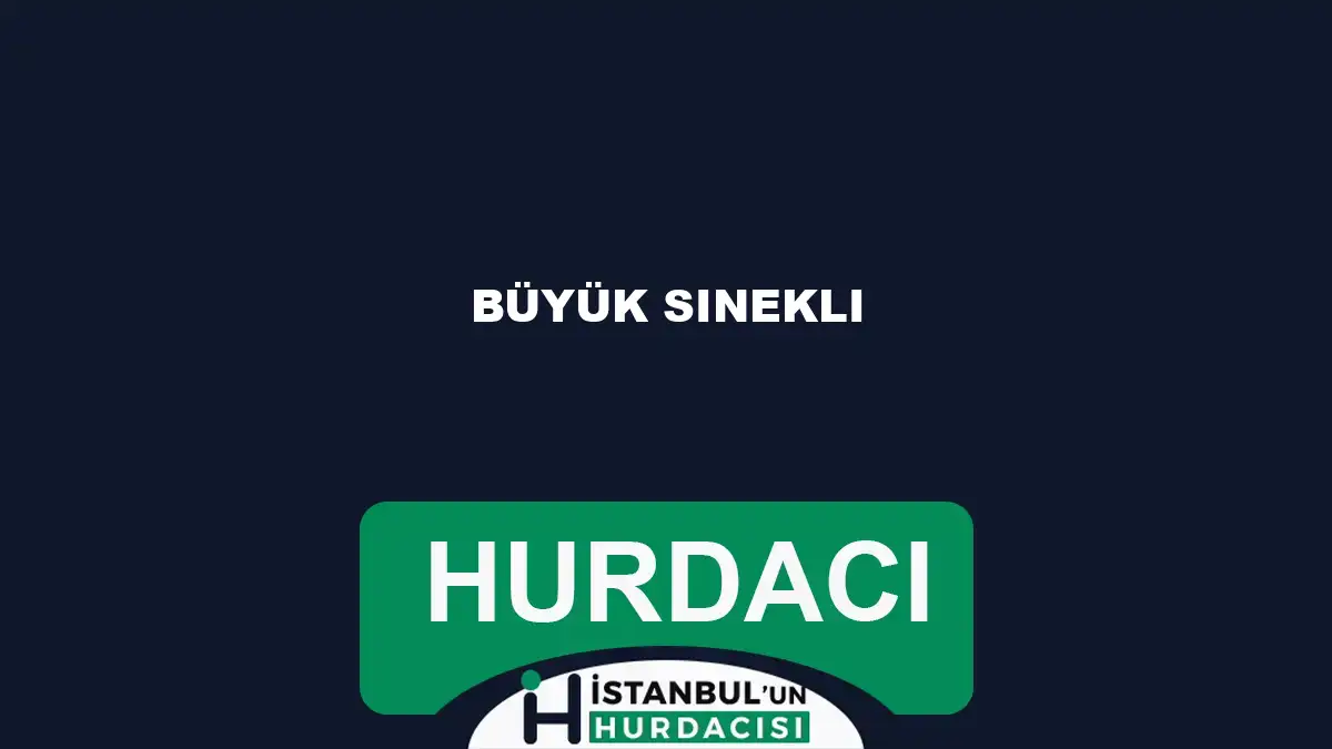Büyük Sinekli hurdacı