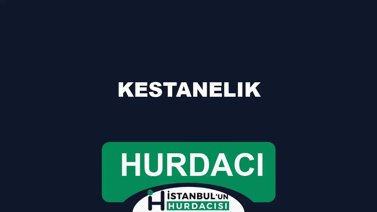 izmit hurdacı