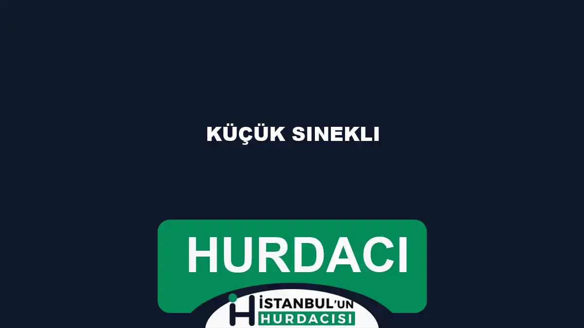 Küçük Sinekli hurdacı